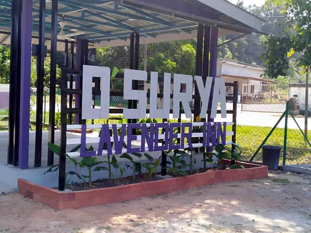 D' Surya Lavender Inn Pantai Cenang  Exteriör bild