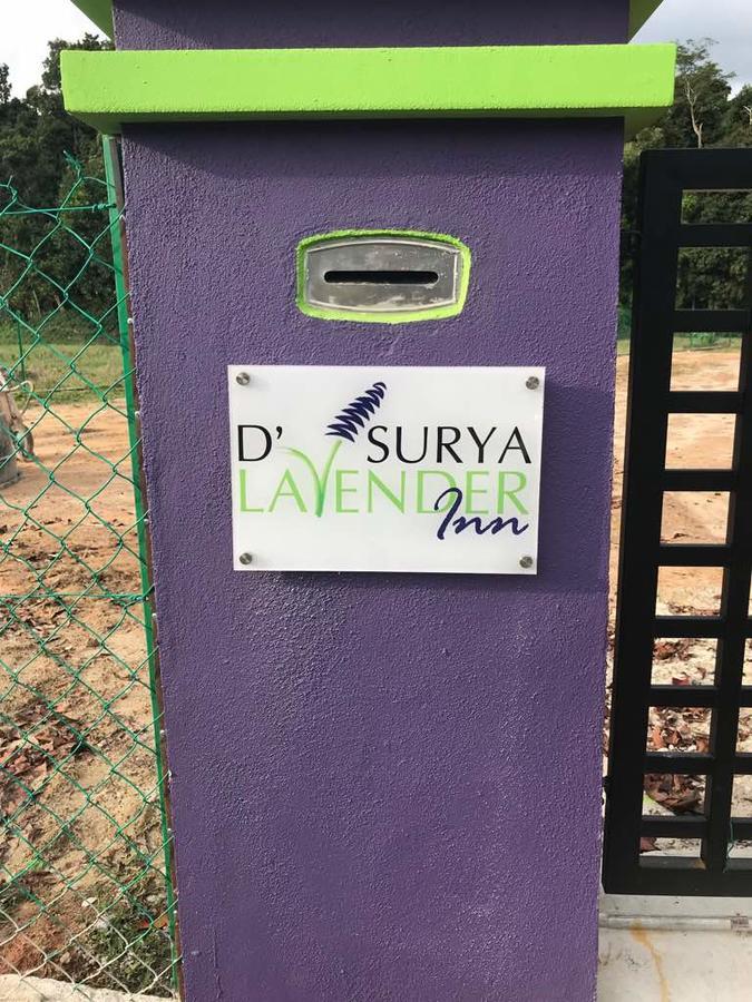 D' Surya Lavender Inn Pantai Cenang  Exteriör bild